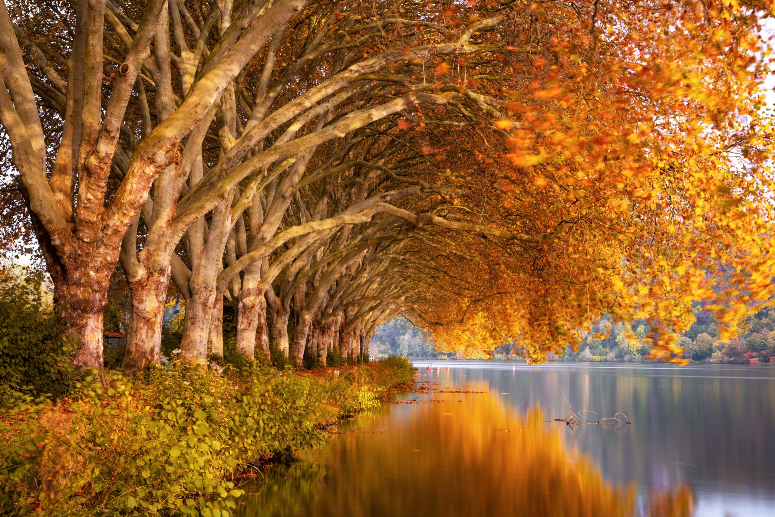 Spiritual Kashmir