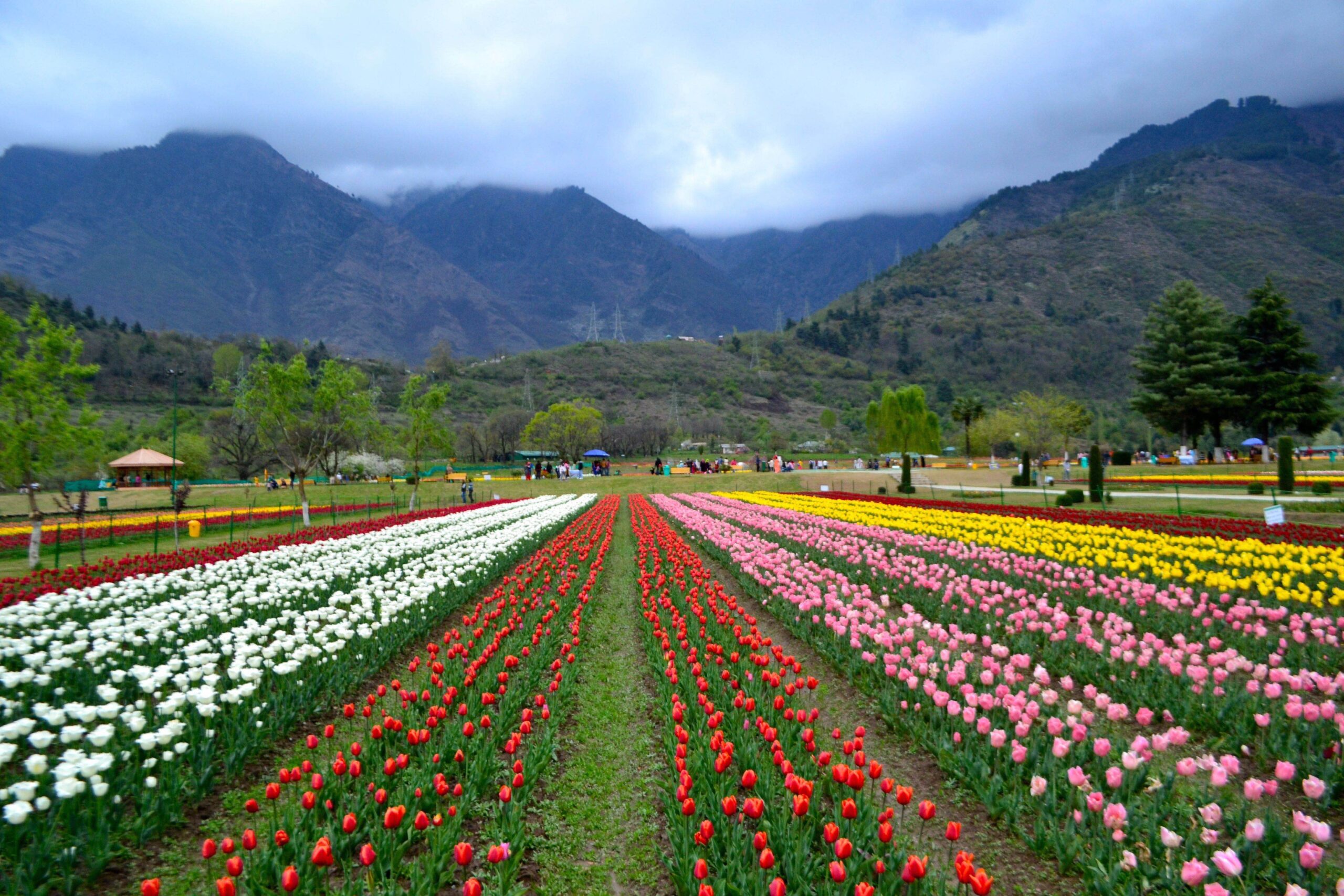 Srinagar Heritage
