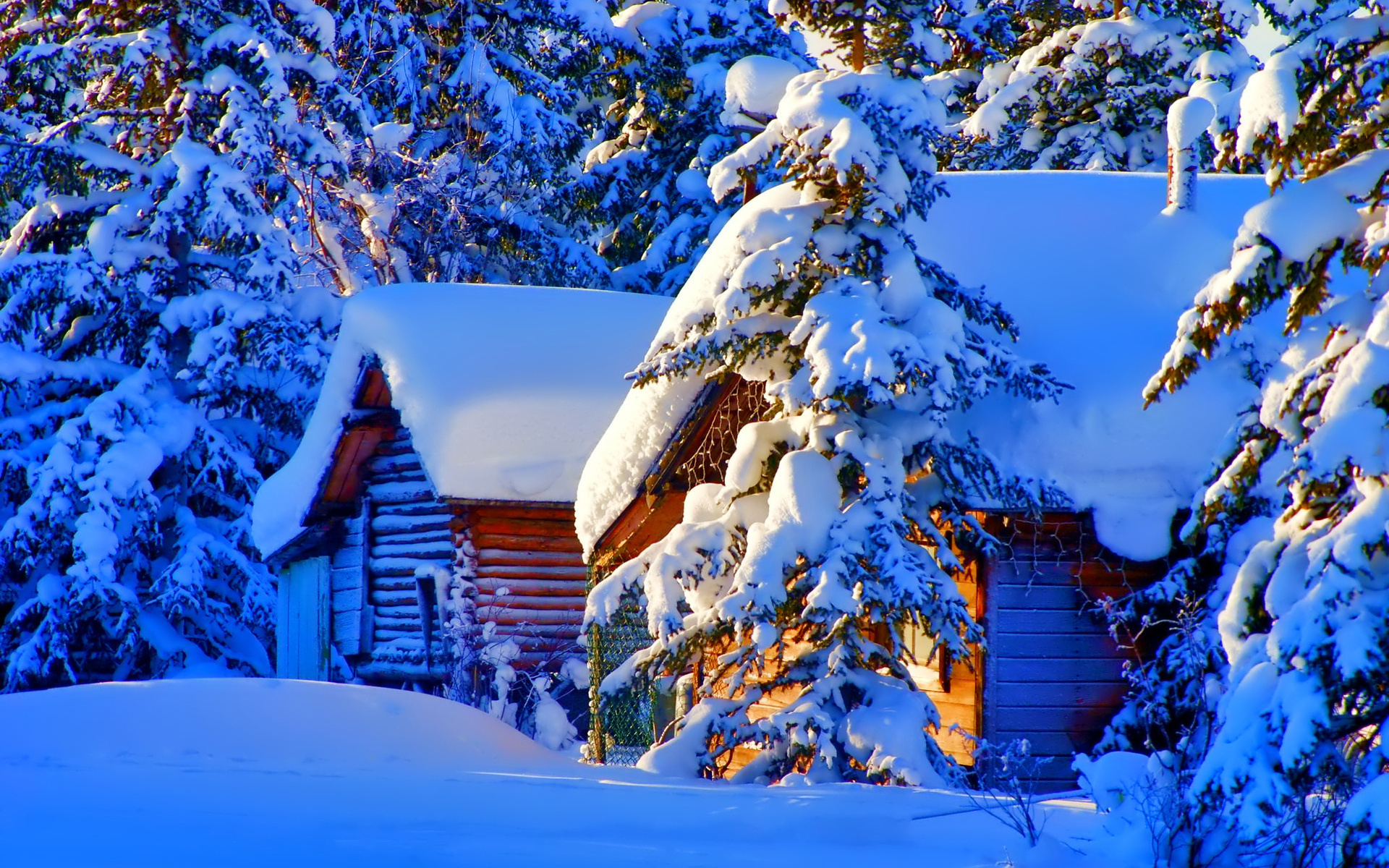 Winter Kashmir