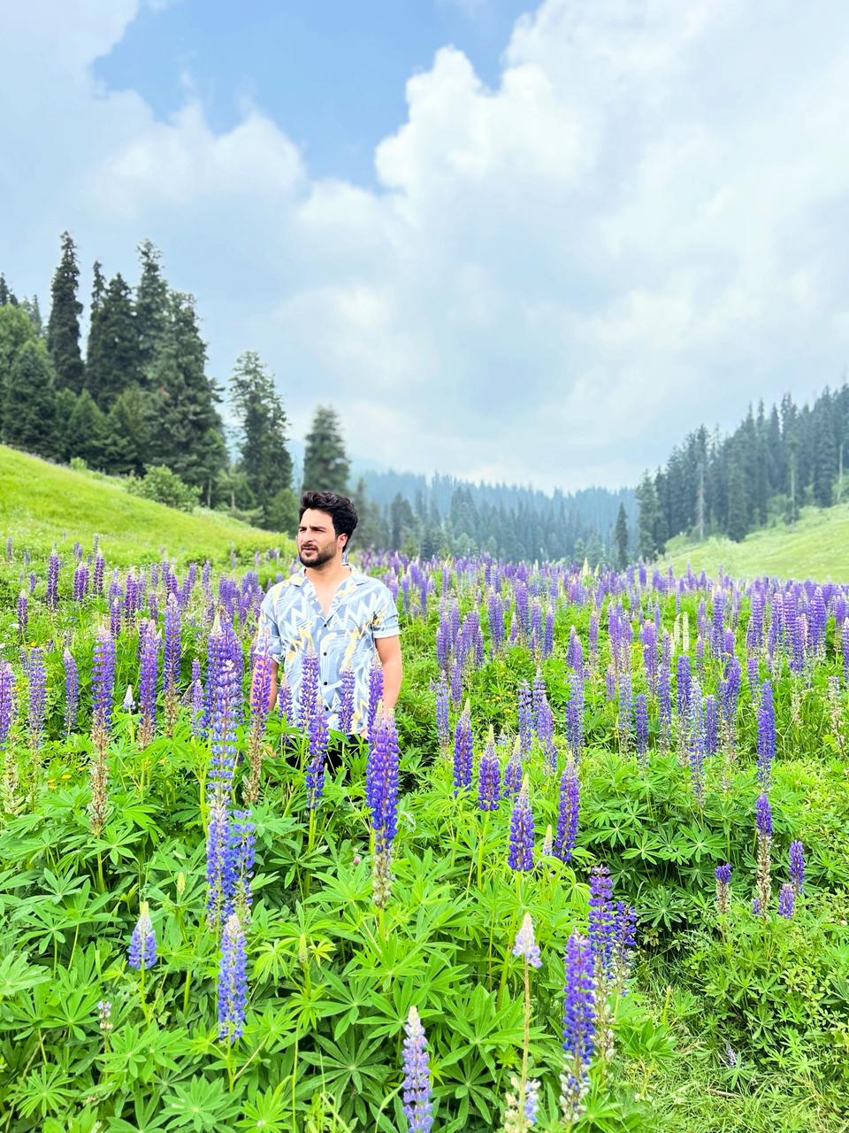 Dal Lake